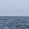 Marsala_2012 (315)